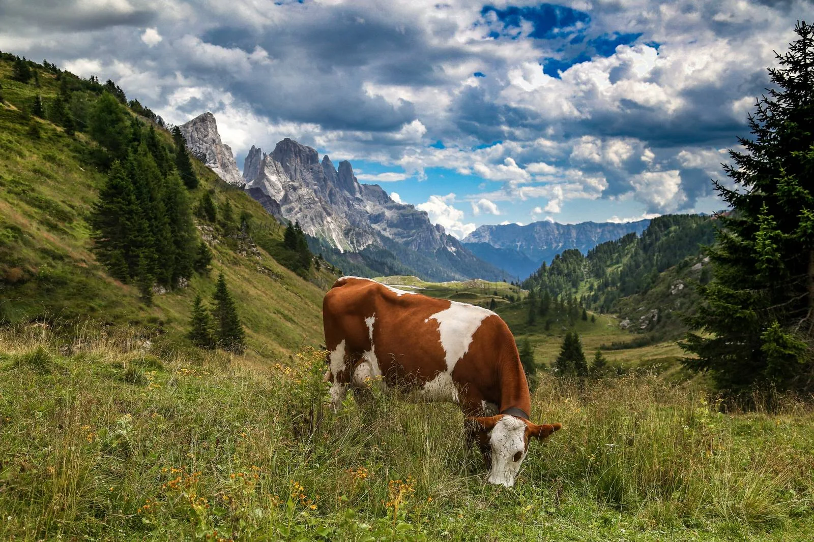 Le Dolomiti
